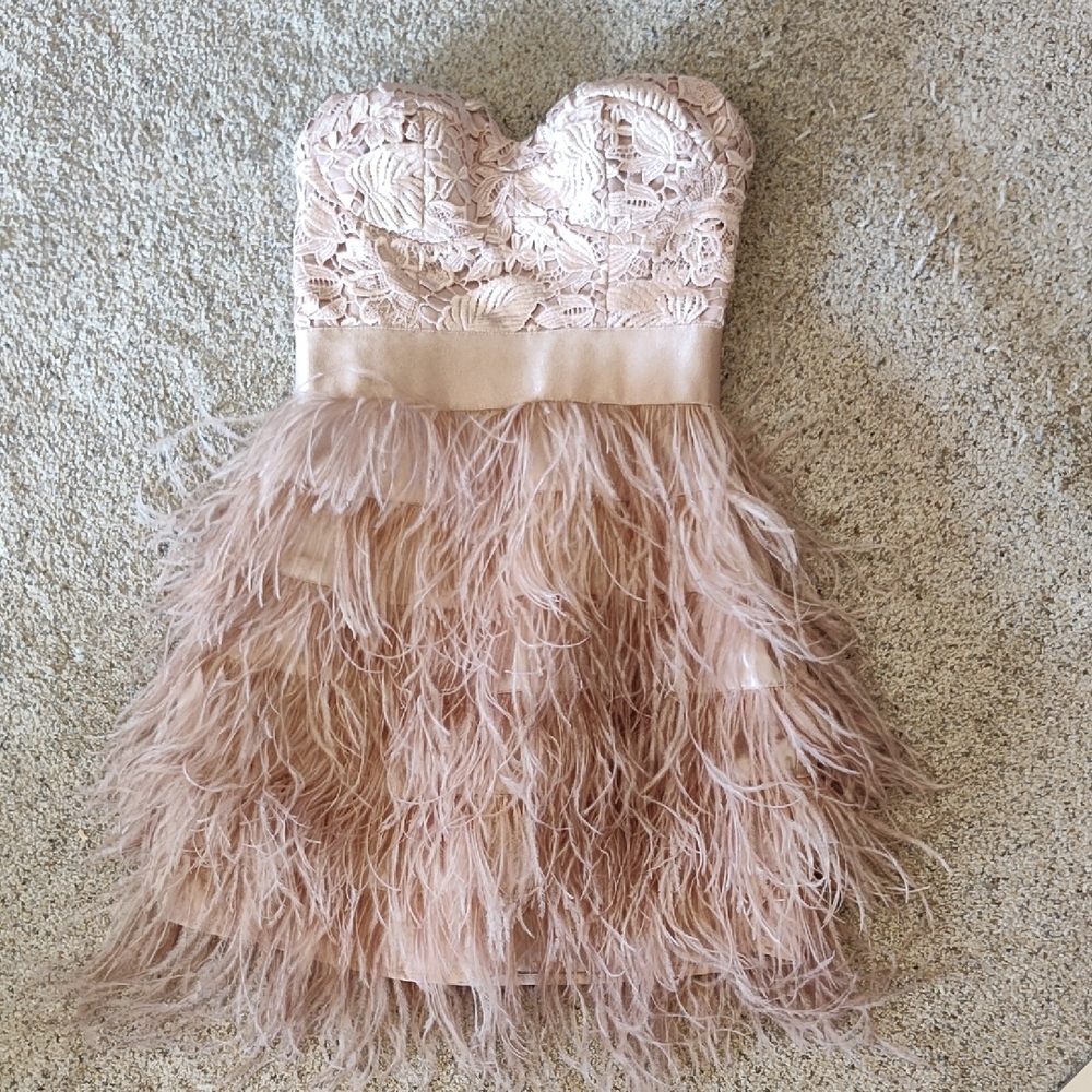Vintage Bebe Elegant Lace and Feather Dress in Champagne Color XXS
